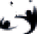 Logo_BDS